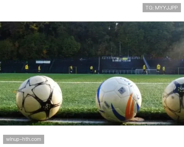 山东泰山主场上座率持续创新高,球队状态备受关注 山东泰山主场上座率持续创新高,球队状态备受关注